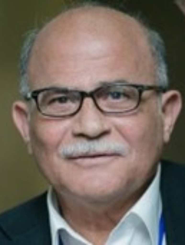 Prof. Hesham Seoudy