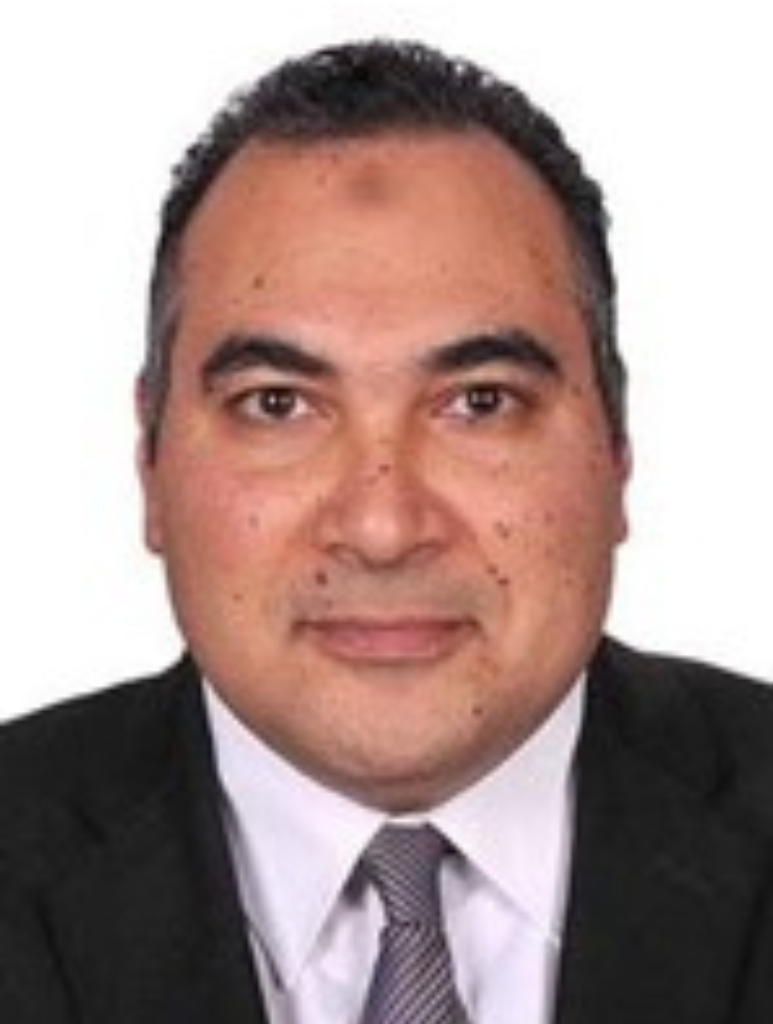 Prof. Ahmed Hassan